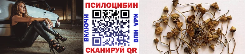 Псилоцибиновые грибы прущие грибы  хочу   Лаишево 